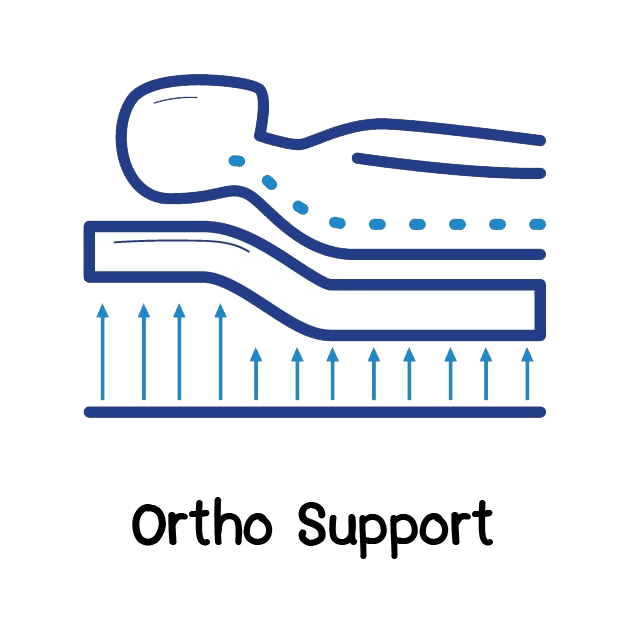 rtho-latex/1-ortho-support.png