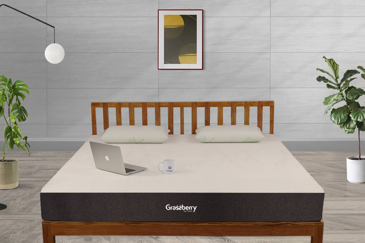 Grassberry - Dual Comfort Natural Latex Mattress + Free Natural Latex Molded Pillow + Free protector